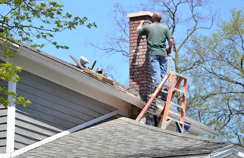 Chimney & Fireplace Inspections Services in Euless, TX